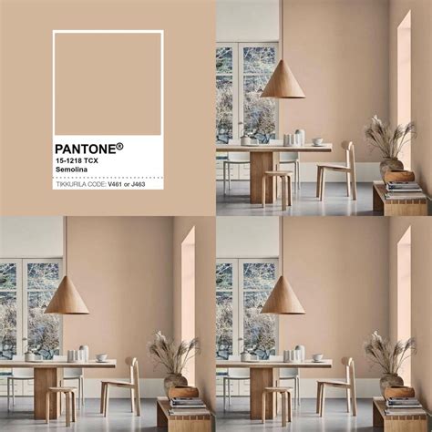 Dunelm warm sand matt emulsion paint – Artofit