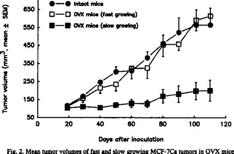 Figure From A New Nude Mouse Model For Postmenopausal Breast Cancer Using Mcf Cells