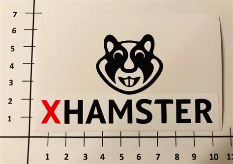 Xhamster Logo Sticker Porn Sex Youporn Pornhub Fun Funny Drip Mi455 EBay