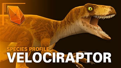 Jurassic Park Species Profile Velociraptor Youtube