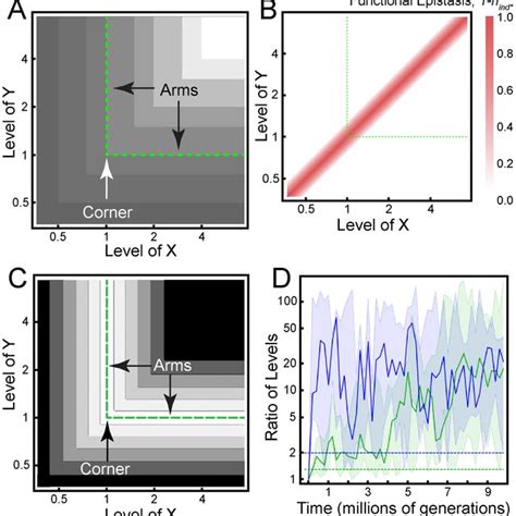 The Generalized LP Model A B Epistasis Landscape Red Shading And