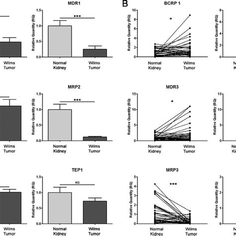 Profiling Of The Transcript Expression Of Multidrug Resistance Genes