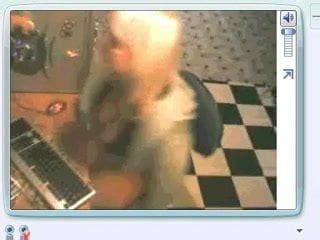 Coroa Safada Na Web Cam Brazilian Webcam Porn XHamster