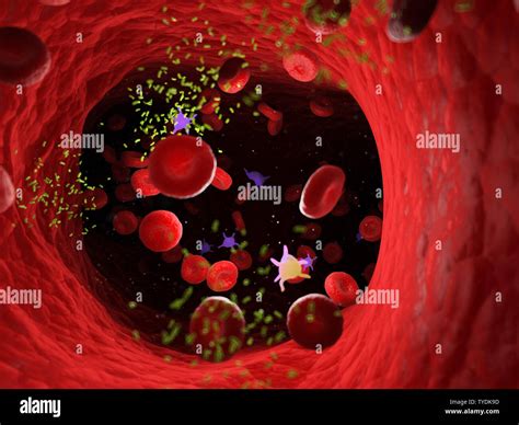 D Prestados Ilustraci N M Dica Exacta De Bacterias En Una Arteria