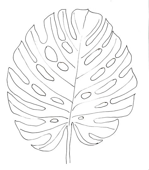 Монстера шаблон - фото и картинки abrakadabra.fun