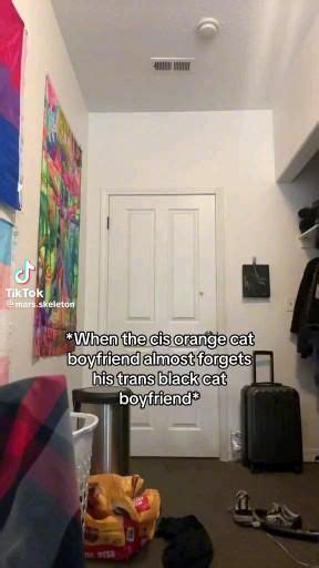 Pin By Stacy Lybbert On Lala Stuff Video In 2025 Lgbtq Funny Cute Gay Couples Lgbt Humor