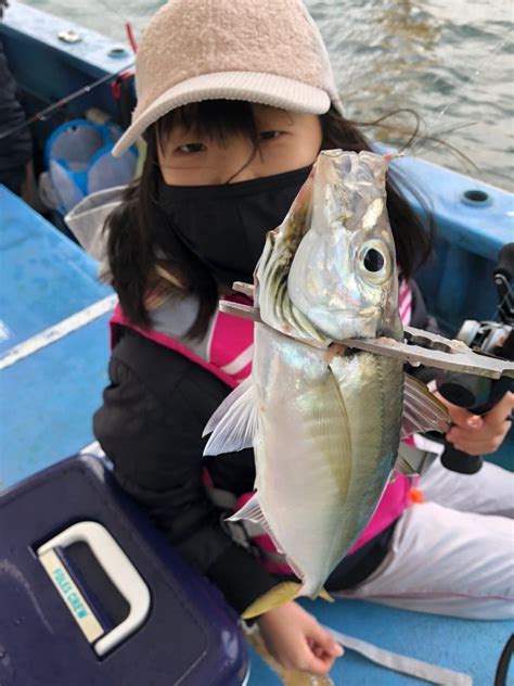 12日 午後アジショート便 釣果 釣船「ヤザワ渡船」大阪市内から淡路方面へ出船中！