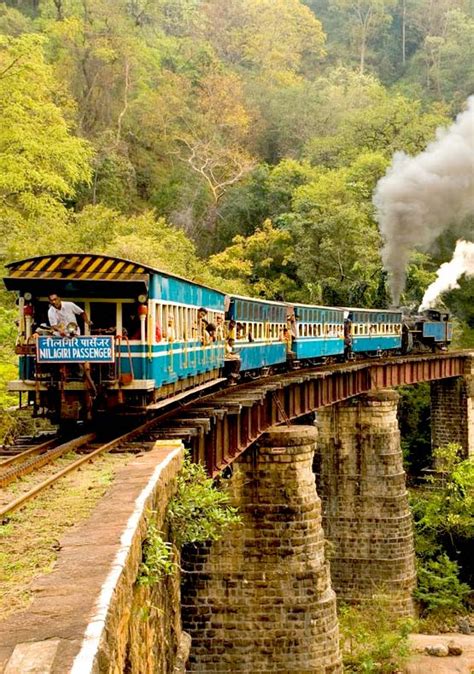 Explore The Nilgiri Library Ooty With Dook