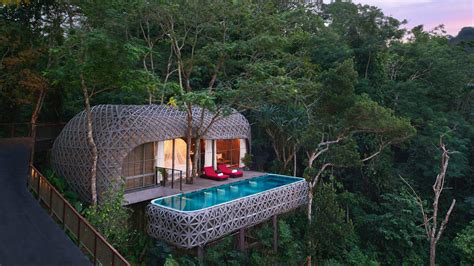 breathtaking forest retreats