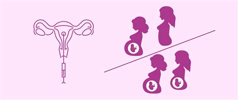 Sperm Donor For Women In A Lesbian Relationship