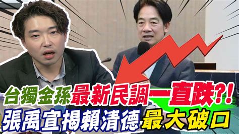 台獨金孫 最新民調 一直跌 張禹宣揭賴清德 最大破口 Youtube