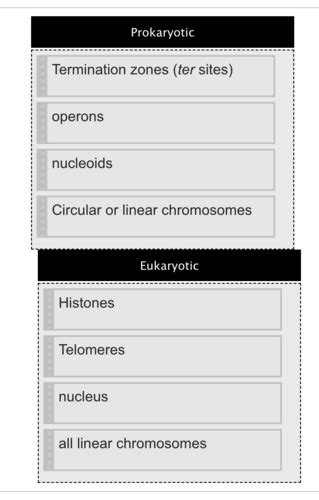Microbiology Chapter 7 Flashcards | Quizlet