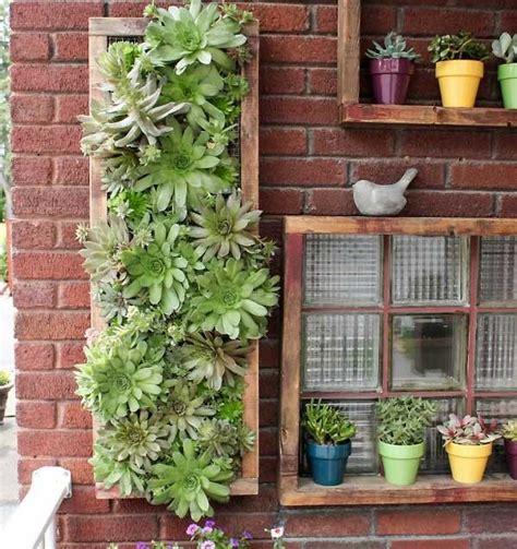 Вертикальный сад на даче: фото, изображения и картинки