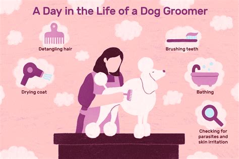 dog grooming jobs    sale cityofclovisorg
