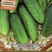 Сорта огурцов (937 шт) — список названий с фото и описанием по алфавиту ...