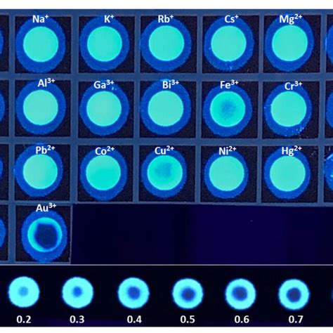 photographic image   metal ions  nmol detected