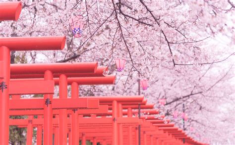 Step Travel Recruitment