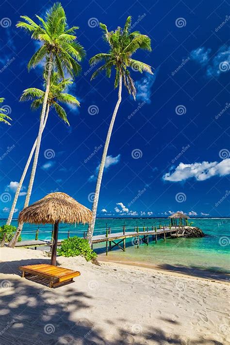 Tropical Beach With Coconut Palm Trees And Jetty South Pacific Stock