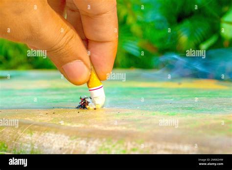Smoking Cessation Concept Stock Photo Alamy
