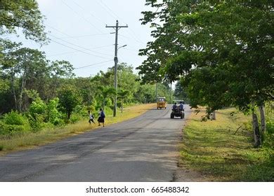 471 Utila Island Honduras Images, Stock Photos & Vectors | Shutterstock