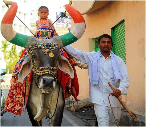 India S Quiet Bull Market Aubrey Capital Management