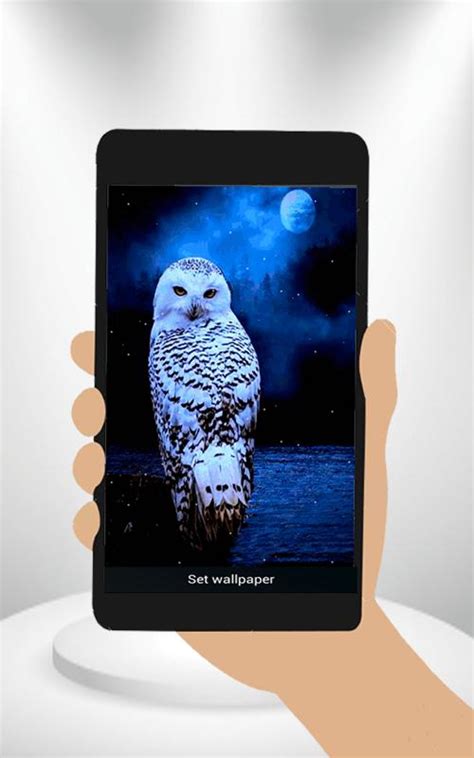 Owl Animated Wallpaper Apk Für Android Herunterladen