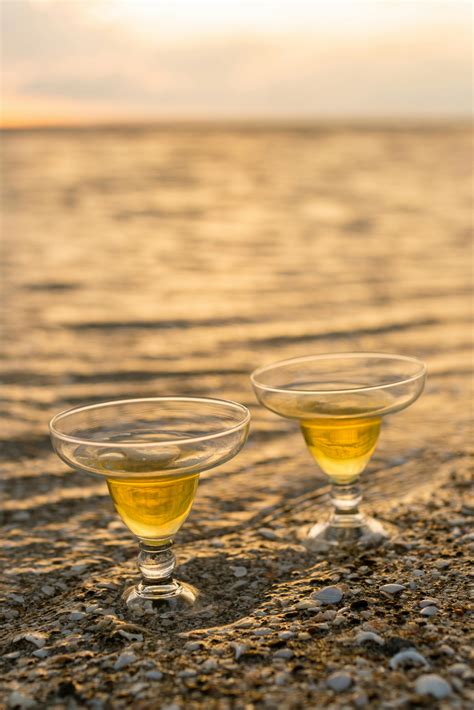 Vladimir Gladkov - 摄影