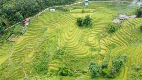 From Sapa Private Tour Full Day Visit Local Village