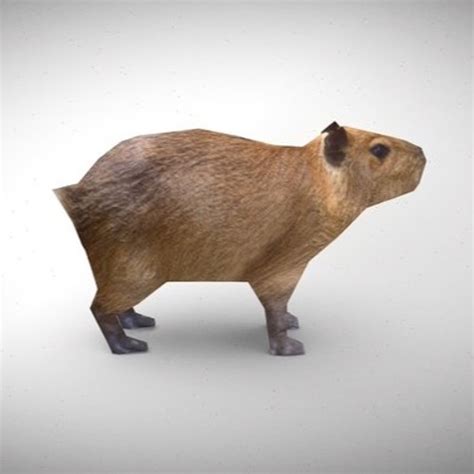 Listen To Playlists Featuring Goofy Headbangers Capybara The Capybara