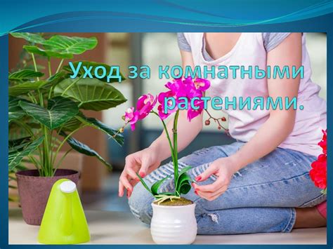Уход за комнатными растениями - презентация онлайн