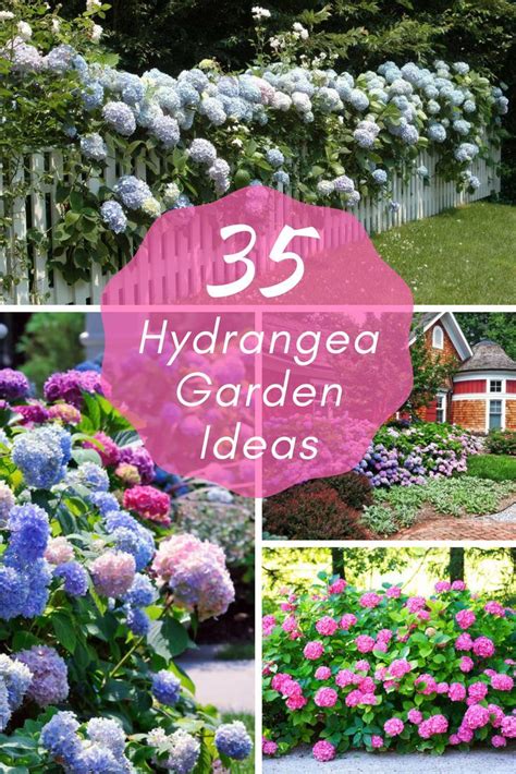 35 Amazing Hydrangea Garden Ideas