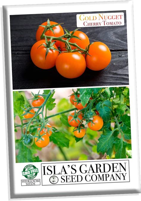 Sun Gold Cherry Tomato Seeds 25 Seeds Patio Lawn And Garden