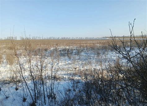 Благотворительная Автономная Некоммерческая Организация "ВЕЛЕС ...