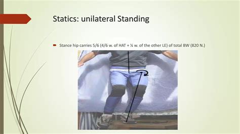 biomechanics  hip pptx