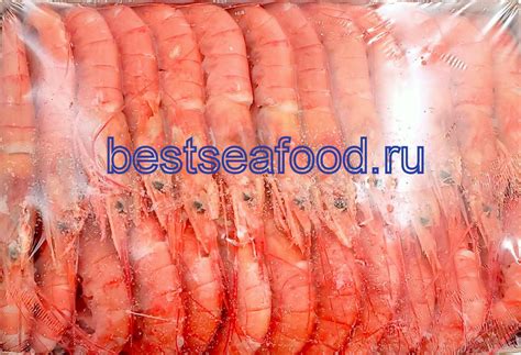 Купить Креветки аргентинские L2 (10/20) – в Москве и обл, оптом