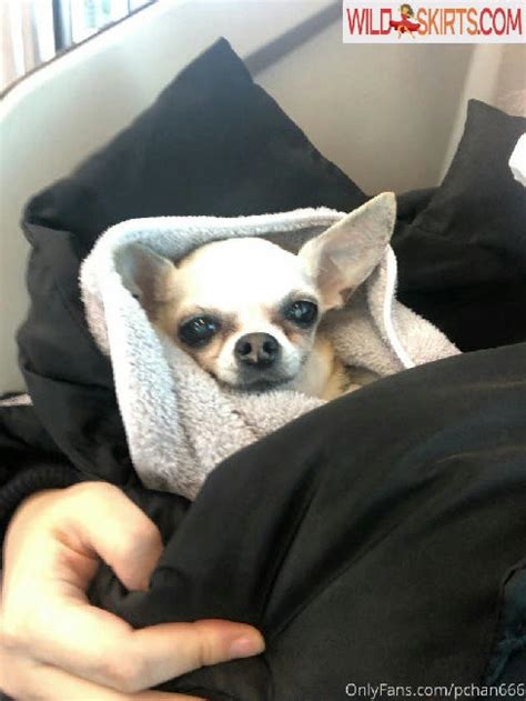 Pchan 666 Nude Leaked Photos And Videos WildSkirts