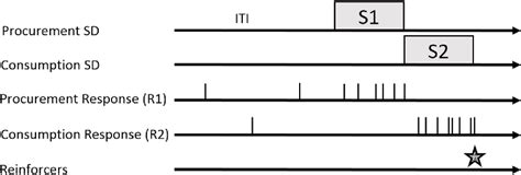 Figure 1 From Factors That Influence The Persistence And Relapse Of Discriminated Behavior