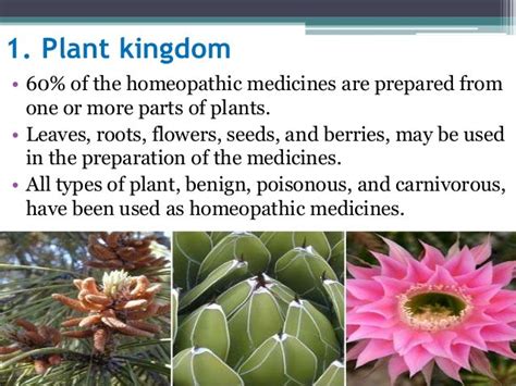 Homeopathy medicine