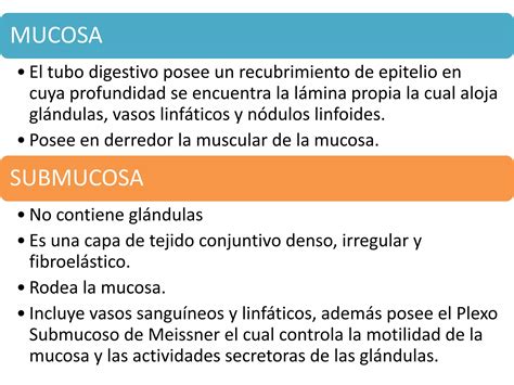 Histologia Tubo Digestivo Ppt