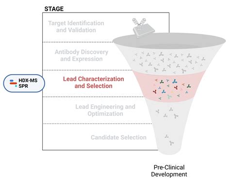 Antibody Drug Discovery - From Target ID to Candidate Selection