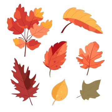 Cute Fall Leaves Clipart Autumn Leaves Set In Flat Style Cartoon Vector ...