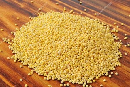 Желтое, белое просо куплю - Самовывоз - Запорожье - Просо — APKUA