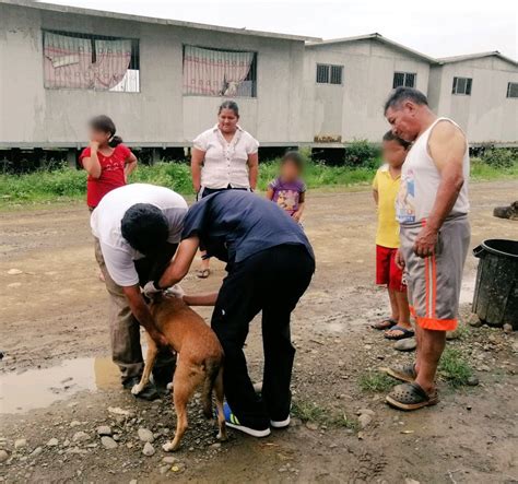 Coordinaci N Zonal On Twitter La Campa A De Vacunaci N Antirr Bica