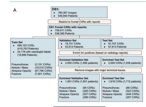 Chest Radiograph Interpretation With Deep Learning Models Assessment