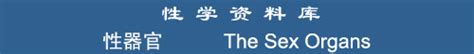 Sex Organs