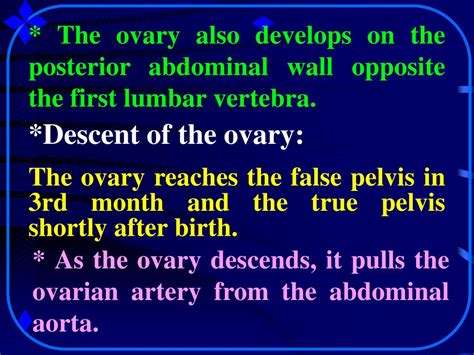 Ppt Sex Determination And Sex Differentiation As Revealed In The Holy Quran And Hadith