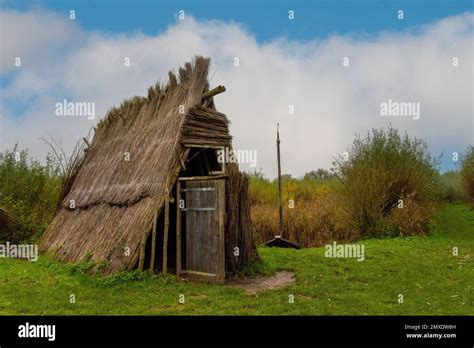 A Small Wooden Kennel In The Woods Stock Photo Alamy