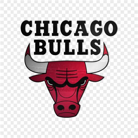 Chicago Bulls Basketball Team | Citypng