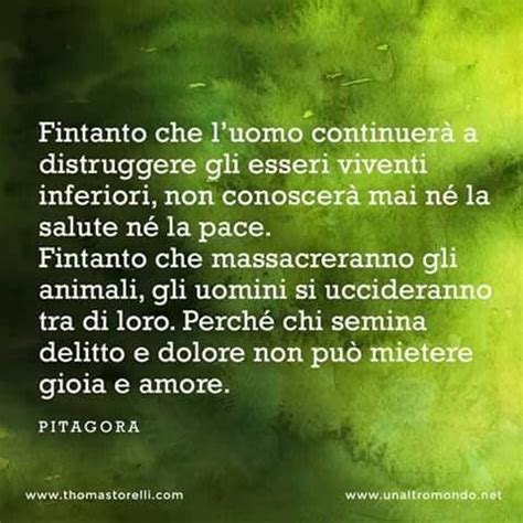 Pin By Elisa On Pillole Di Filosofia