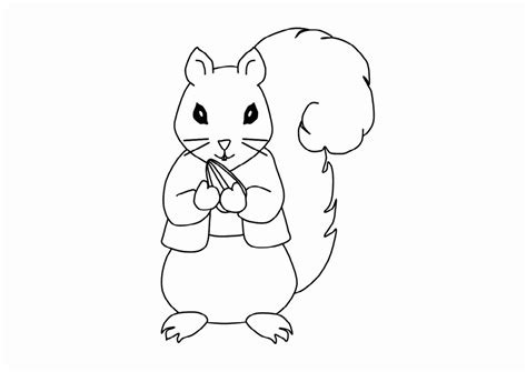 top  bst hinh cho    dep de ve